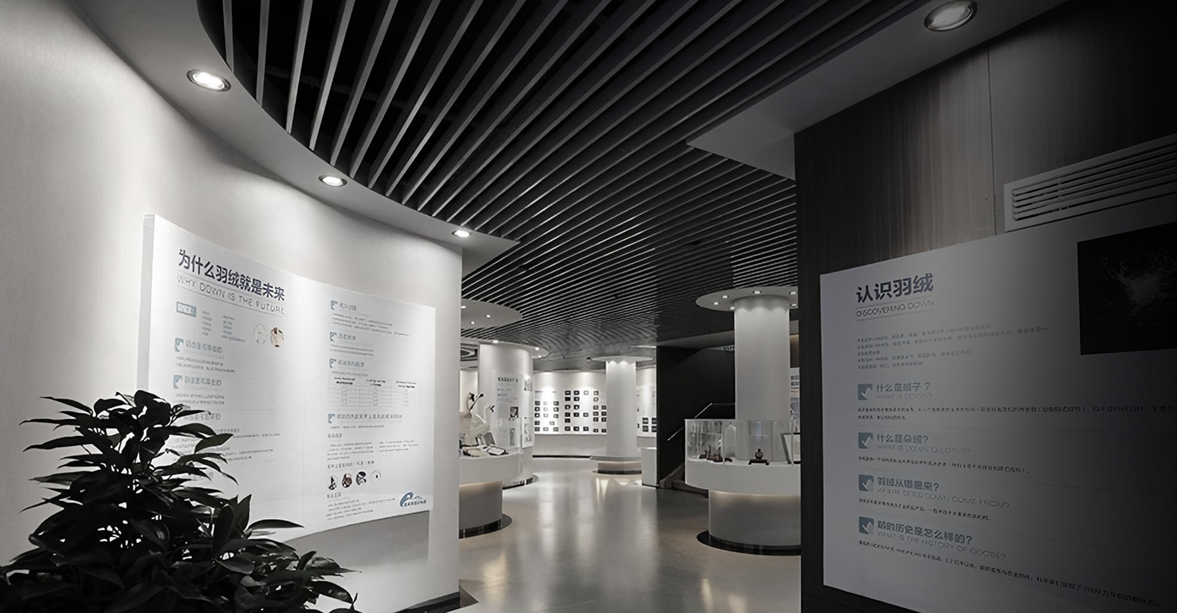 Down  Cultural  Theme Pavilion