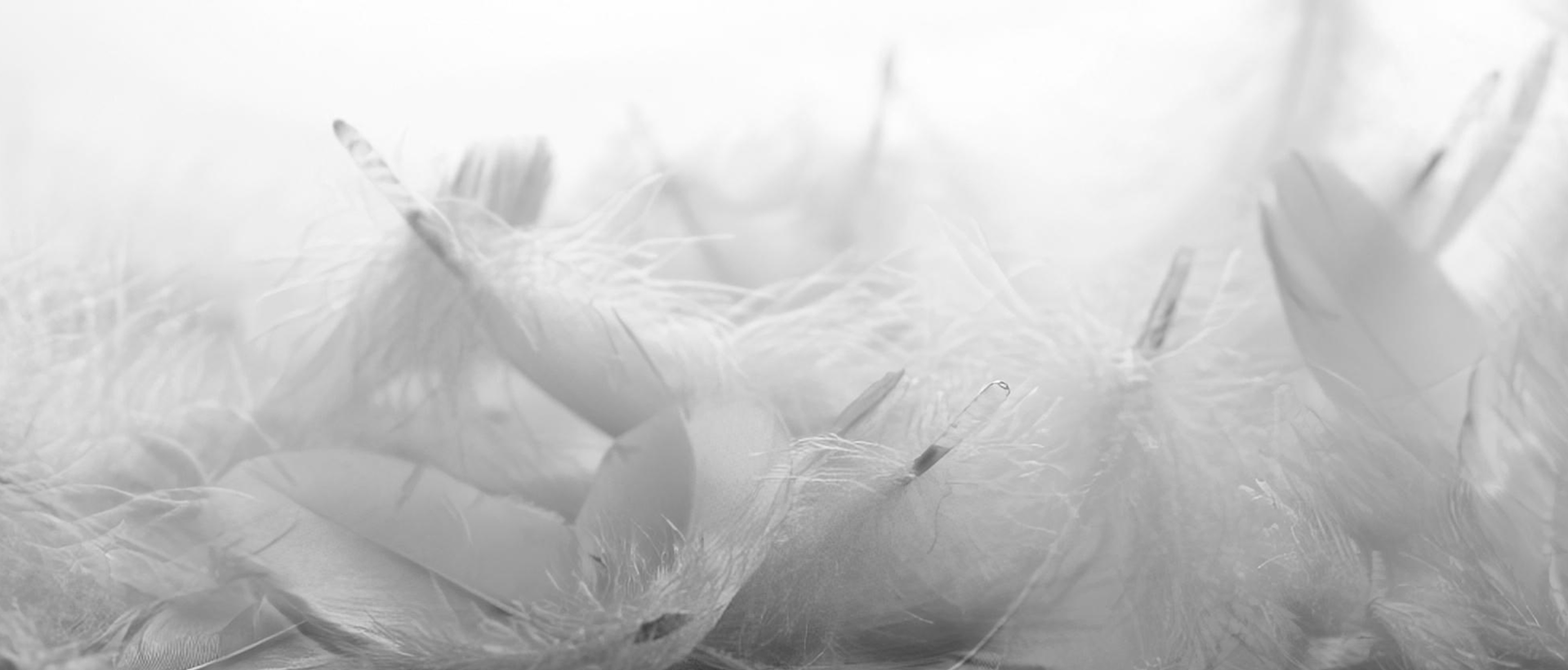 THE GLOBAL RECYCLE  STANDARD (GRS)