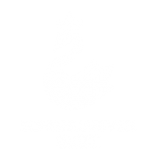 SONGHUARIVER GREY DUCK DOWN