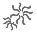 NON-WHITE COLOUR RATE|0.3%