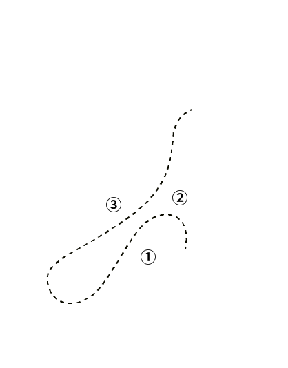 HISTORY OF GOOSE <br /> SCIENTIFIC AMERICAN (USA) reported: About 220 million years ago, ancestor of goose was the companion of dinosaur, scientists discovered a goose fossil from 70 million years ago. 