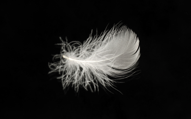 WHITE DUCK FEATHERS 2-4CM